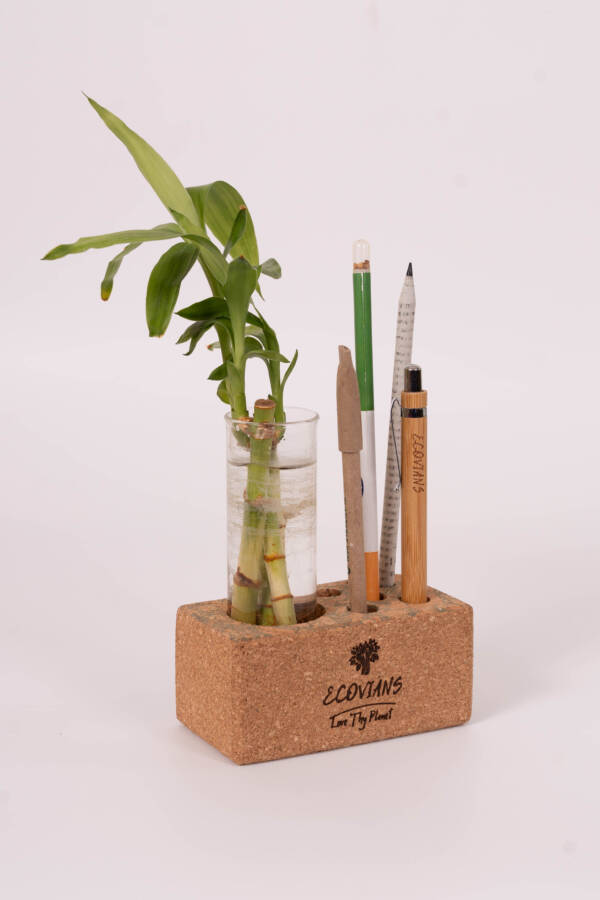 Cork Planter cum Pen Stand