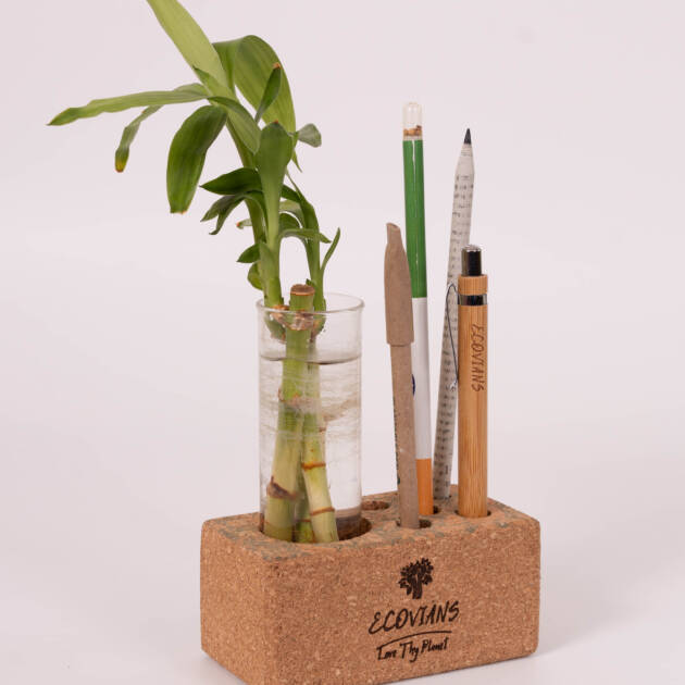 Cork Planter cum Pen Stand